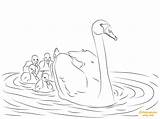 22 Swan Coloring Pages  ColoringPagesOnlycom sketch template