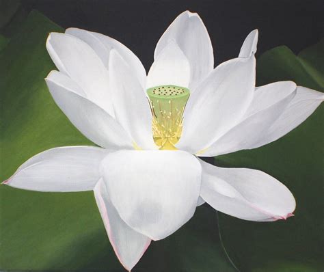 White Lotus Painting Flower Painting, Zen Decor, Large Floral Wall Art ...