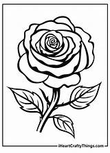 Rose Flower Coloring Pages  Best Site sketch template