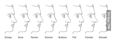 What's your nose type? Mine is Grecian. - 9GAG