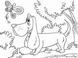 Dachshund dog Coloring Pages To Download And Print For Free sketch template