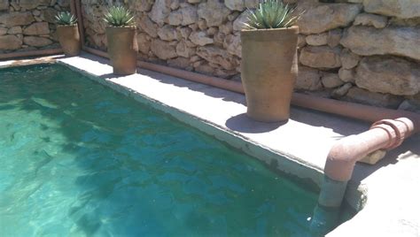 Top 10 tips for building an affordable DIY natural pool