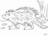 Cute Porcupine coloring page  Free Printable Coloring Pages sketch template