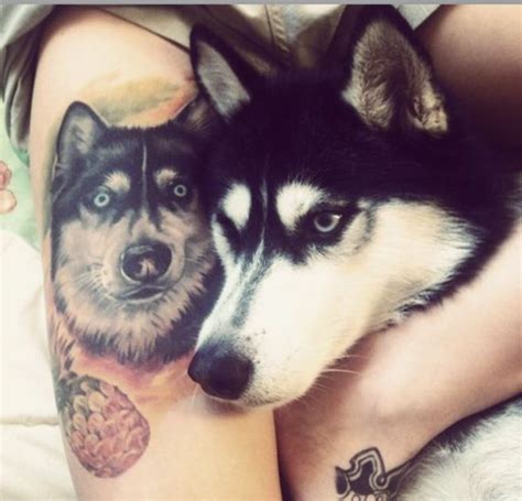 15 Best Husky Tattoo Ideas | Husky tattoo, Husky dogs, Siberian husky