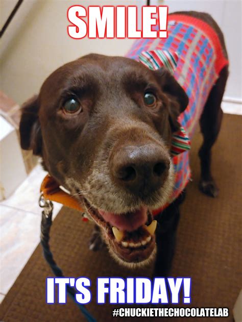 Its Friday Meme Dog Hey Everybody It S Friday Imgflip Lovethispic | Images and Photos finder