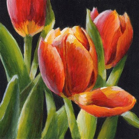 Tulip painting, Flower painting, Floral watercolor paintings