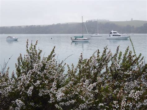 About Rangitoto - Rangitoto Island Historic Conservation Trust