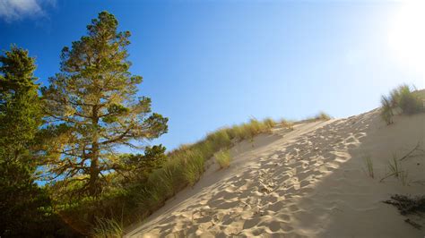 Top 10 Hotels Closest to Oregon Dunes National Recreation Area in Oregon Coast (from $48/night ...