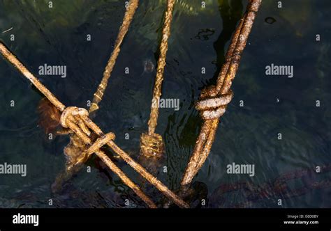 anchor chain underwater in the sea Stock Photo - Alamy