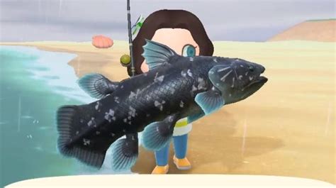 Animal Crossing Coelacanth: How to catch a Coelacanth in New Horizons | Eurogamer.net