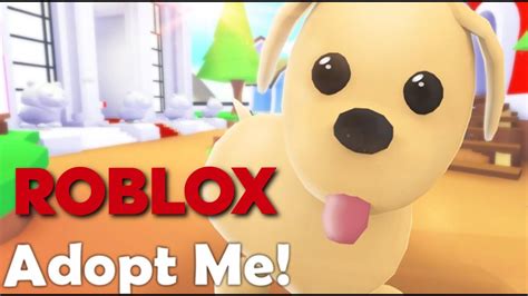 Roblox - Adopt Me oynuyoruz 🐶🐹🐯🐰 - YouTube