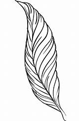Feather Quill Pen coloring Page  ColouringPages sketch template