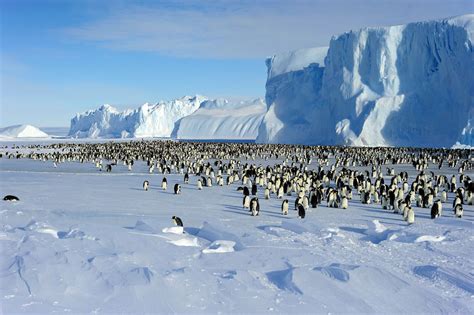 Climate change poses greatest threat to Antarctica – Australian Antarctic Program (News 2022)