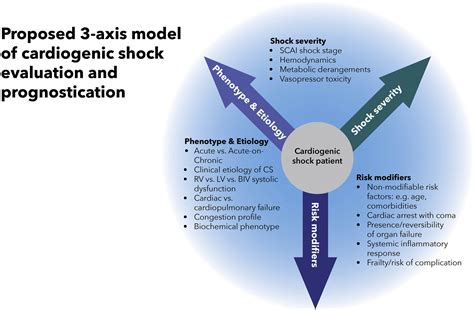 SCAI SHOCK Stage Classification Expert Consensus Update: A Review and ...