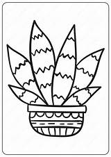 Adult Cactus Coloring Pages Printables sketch template