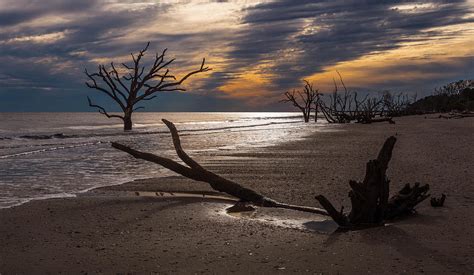 Boneyard Beach Photograph by Todd Wise - Fine Art America