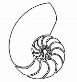 Chambered Nautilus Coloring Page  Free Printable Pages For Kids sketch template
