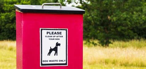 Dog Poop Disposal - The Best Way To Pick Up And Dispose Of Dog Poop