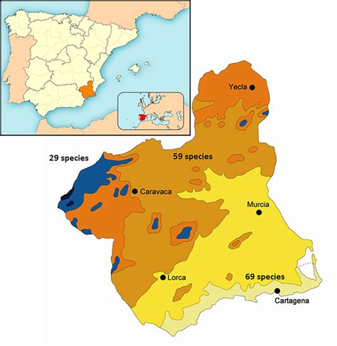 An annotated checklist of the Crambidae of the region of Murcia (Spain) with new records ...