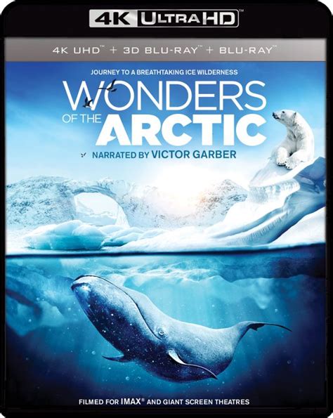 IMAX: Wonders of the Arctic [3D] [4K Ultra HD Blu-ray/Blu-ray] [4K Ultra HD Blu-ray/Blu-ray/Blu ...