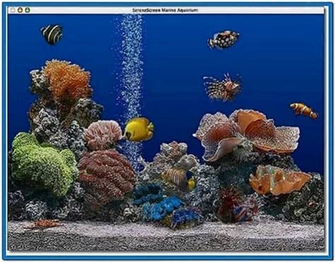 Marine Fish Screensaver Mac - Download-Screensavers.biz