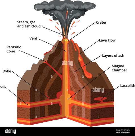 Vector infographic illustration. Cross section of volcano with lava and magma eruption Stock ...