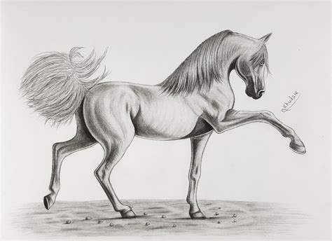 How To Draw Horses Horse Drawings Drawings Animal Drawings | Porn Sex Picture