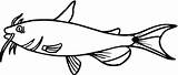 Catfish coloring Page  Free Printable Coloring Pages sketch template