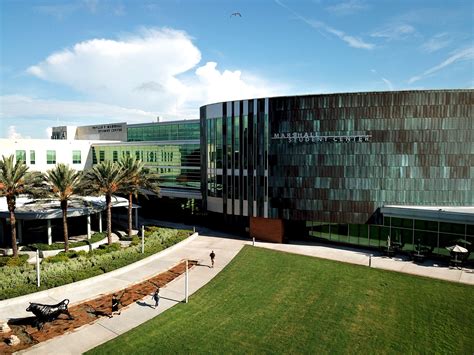 University of South Florida News, Articles, Stories & Trends for Today