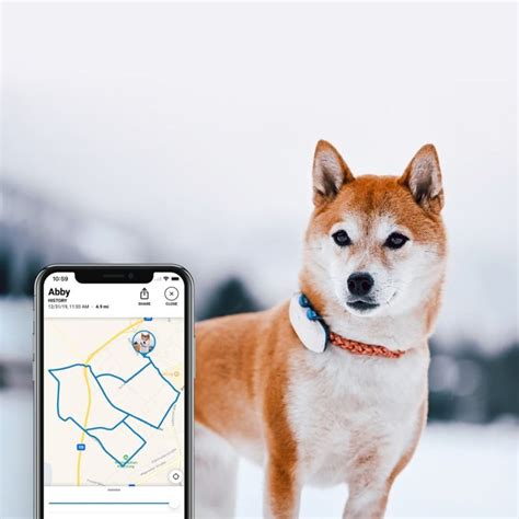 Tractive GPS DOG 4 – GPS Tracker for Dogs - GPS collars for dogs - Electric-Collars.com