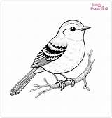 25 Bird Coloring Pages – Free Printable PDF Sheets For Kids  Parenting sketch template