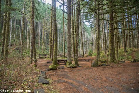 Tillamook State Forest – Gales Creek Campground, Oregon | Parkcamper