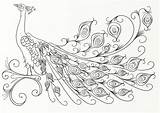 Peacock Coloring Page By LorraineKelly On DeviantArt sketch template