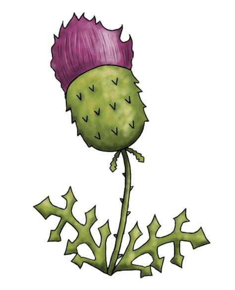 Thistle Clipart - ClipArt Best