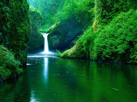 Nature Waterfall Nature Windows 10 Wallpaper 4K / Jungle River Windows ...