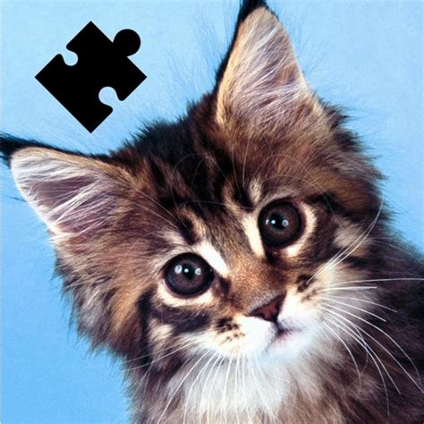 Cat Kitten Kitty Pet Baby Animal Game for toddlers HD - Sorting & Matching Jigsaw Puzzle games ...