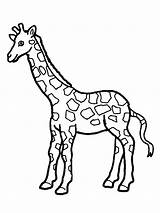Cute Coloring Pages Of Giraffes sketch template