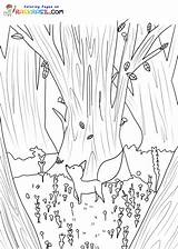 Forest Coloring Pages sketch template