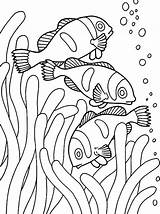 X Ray Fish Coloring Page At GetColoringscom  Free Printable Colorings sketch template