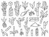 Sugarcane Plant Colouring Pages Sketch Coloring Page sketch template