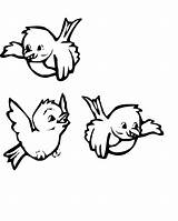 Three Cute Birds Coloring Pages  Animal coloring Puppy sketch template