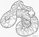 Printable Snake Coloring Pages sketch template