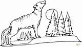 Coyote howling At The Moon coloring Page  Free Printable Coloring Pages sketch template