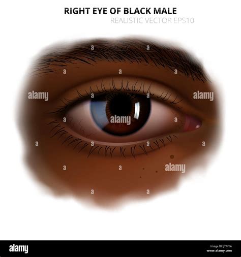 Black iris, eye hi-res stock photography and images - Alamy