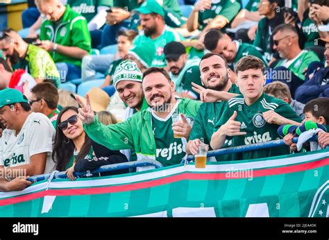 SC - Florianopolis - 06/26/2022 - BRAZILIAN A 2022 - AVAI X PALMEIRAS - Palmeiras fans during a ...