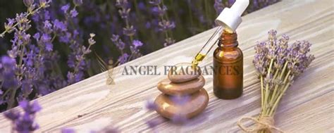 Pure Aromatherapy Lavender Oil Supplier and Distributor