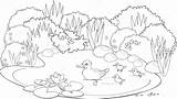 Pond Coloring Pages At GetColoringscom  Free Printable Colorings sketch template