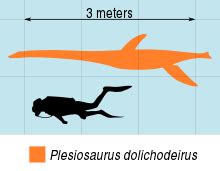 Plesiosaurus - Vikipedi