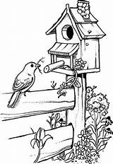 Birdhouse & Fence N 10  Bird Drawings Sketches Art sketch template