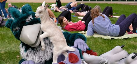 UW-Green Bay ‘goats’ with the flow – Inside UW-Green Bay News